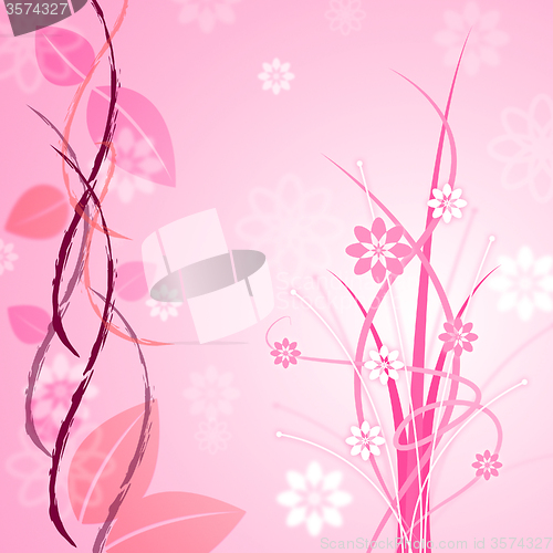 Image of Pink Floral Indicates Bloom Backgrounds And Flower