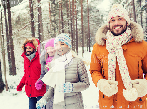 Image of group of smiling men and women in winter forest