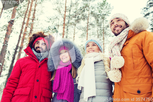 Image of group of smiling men and women in winter forest