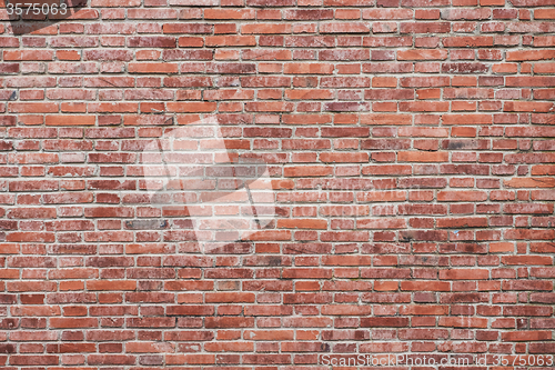 Image of Perfect brick wall texture