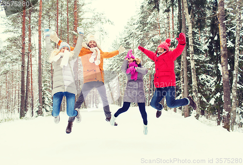 Image of group of smiling men and women in winter forest