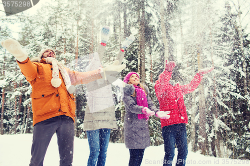 Image of group of smiling men and women in winter forest