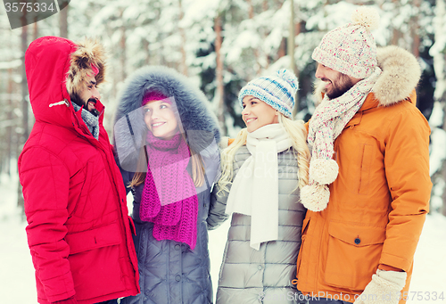 Image of group of smiling men and women in winter forest