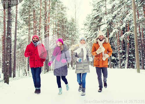 Image of group of smiling men and women in winter forest