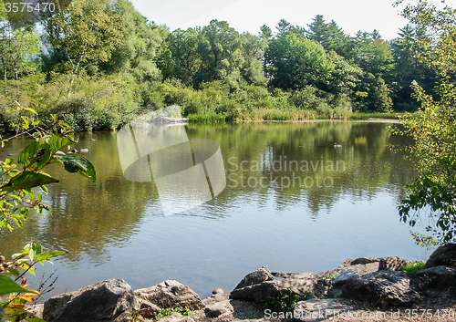 Image of riverside scenery