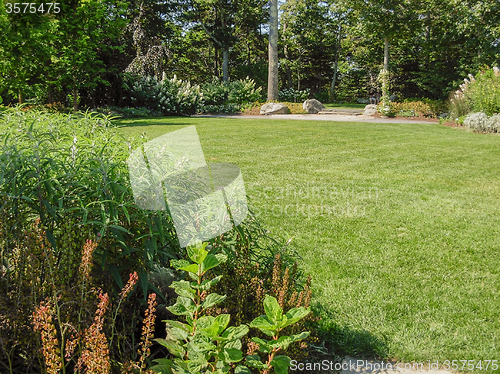 Image of sunny park