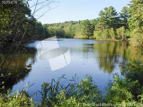 Image of riverside scenery