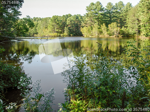 Image of riverside scenery