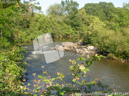 Image of riverside scenery