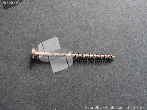 Image of Wood screw