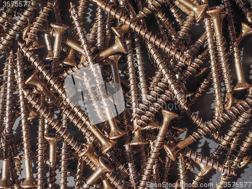 Image of Wood screw