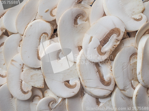 Image of Champignon mushrooms background