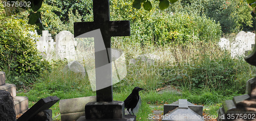 Image of Tombs and crosses at goth cemetery