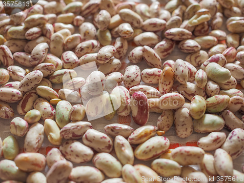 Image of Crimson beans vegetables background