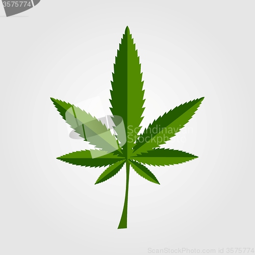 Image of Green cannabis leaf icon design
