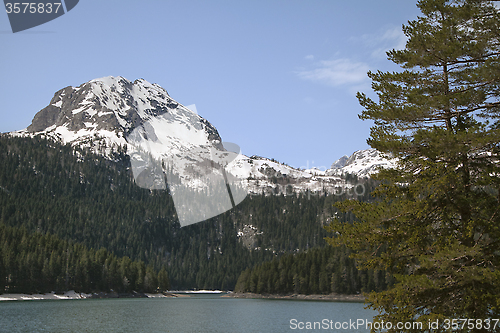 Image of Black lake in Montenegro