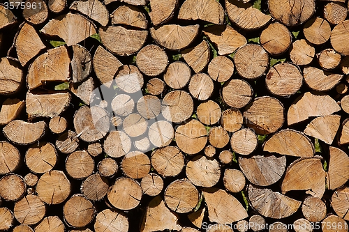 Image of Log Pile