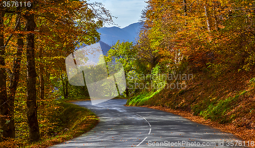 Image of Autumn Road