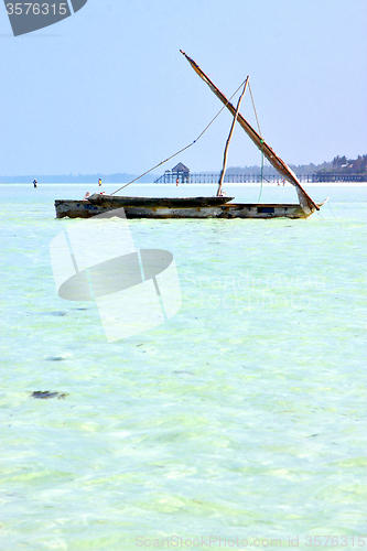 Image of beach   in zanzibar seaweed  pier