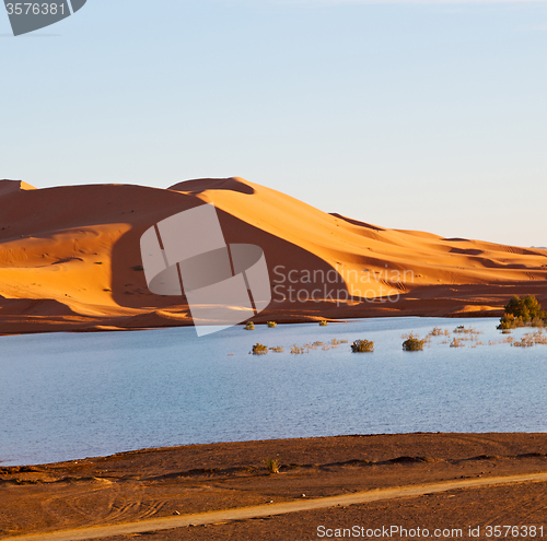 Image of sunshine in the lake yellow  desert of morocco sand and     dune