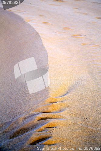 Image of  brown sand dune   desert 