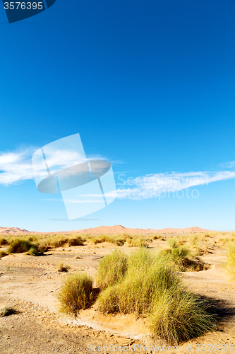 Image of mountain old fossil in morocco sahara     sky