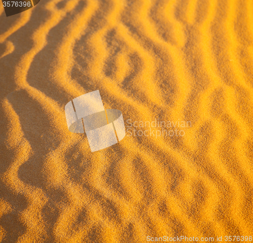 Image of africa the brown sand dune in   sahara morocco desert line