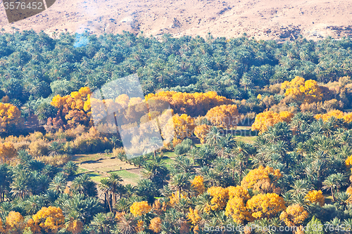 Image of in   valley  morocco  dry mountain ground isolated hill 