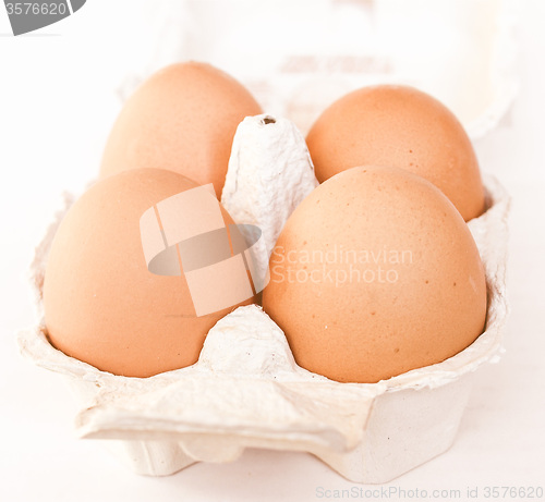 Image of Retro looking Eggs picture