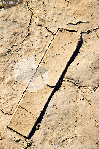 Image of brown dry sand in wood and abstract