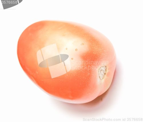 Image of Retro looking Tomato