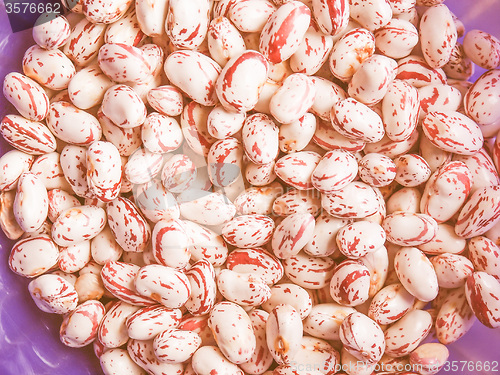 Image of Retro looking Cranberry beans