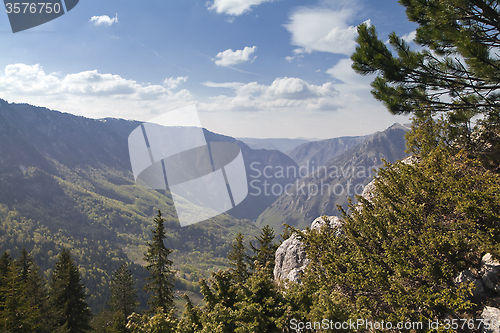 Image of Canyon of river Tara, Montenegro