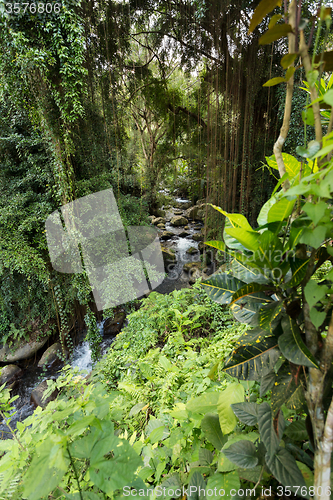 Image of river landscape in temple Gunung Kawi