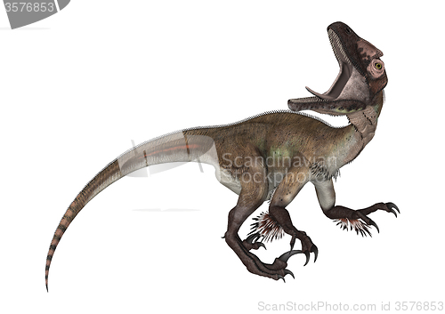 Image of Dinosaur Utahraptor