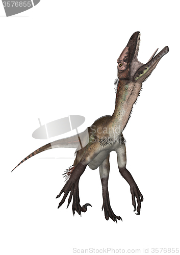 Image of Dinosaur Utahraptor