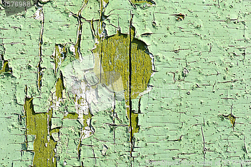 Image of Green wooden background. old green wooden grunge background