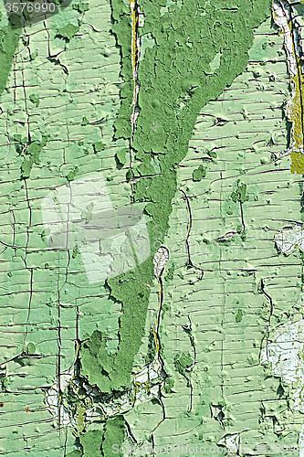 Image of old green colored wooden plank surface