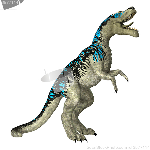 Image of Dinosaur Tyrannosaurus