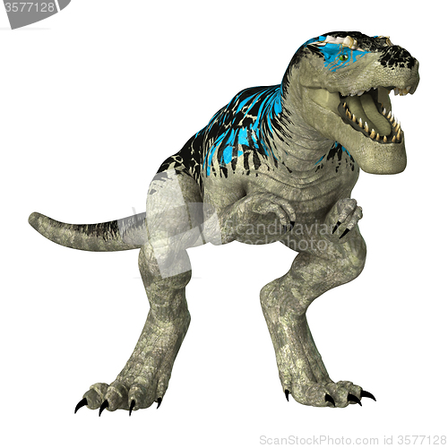 Image of Dinosaur Tyrannosaurus