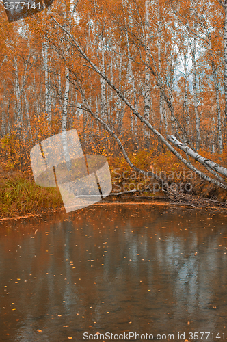 Image of Autumn riverin taiga