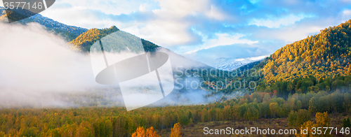 Image of sunrise in taiga