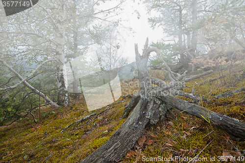 Image of on the mountain in autumn day