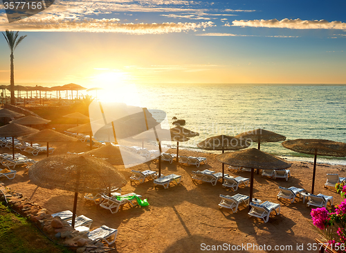 Image of Red sea beach