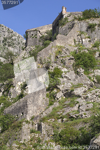 Image of Ruins of the fortress over Kotor
