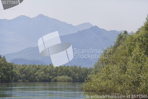 Image of Skadar lake, Montenegro