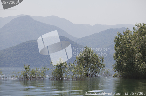 Image of Skadar lake, Montenegro