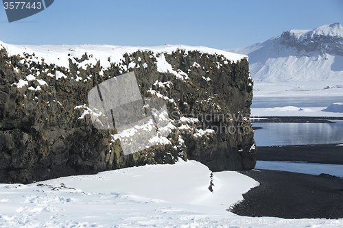 Image of Basalt rocks, South Iceland