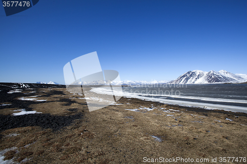 Image of East coast of Iceland