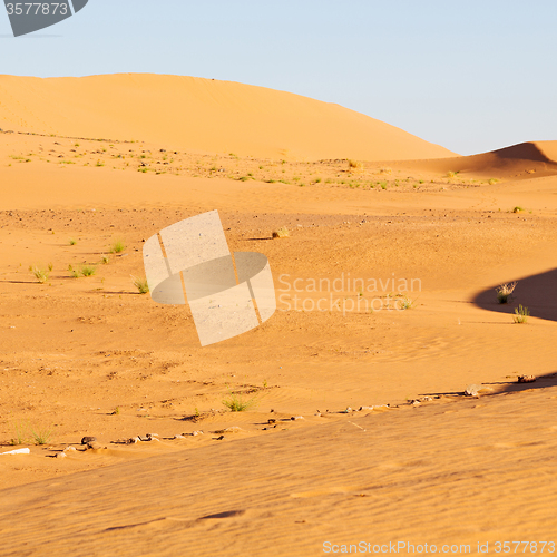 Image of sunshine in the desert of morocco sand and dune